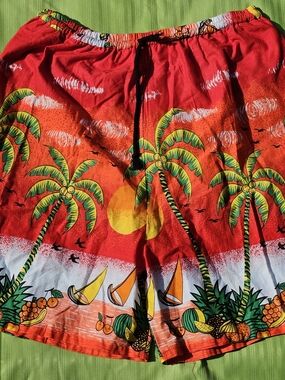 Vintage 90s Tropical Palm Print Swim Shorts in Red & Orange 90s Surf Beach Bum